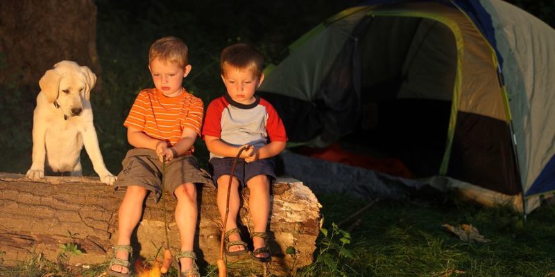 dog friendly campgrounds